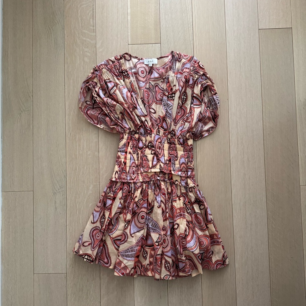 ALC Red and Pink Ruched Ruffled Sundress